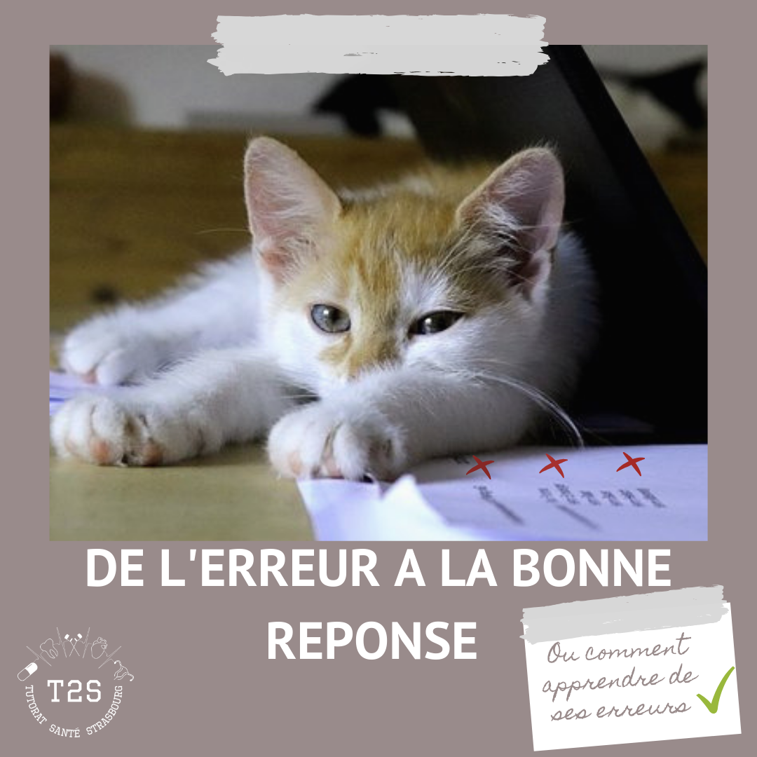 De l’erreur à la bonne réponse... ou comment apprendre de ses erreurs • Tutorat Santé Strasbourg
