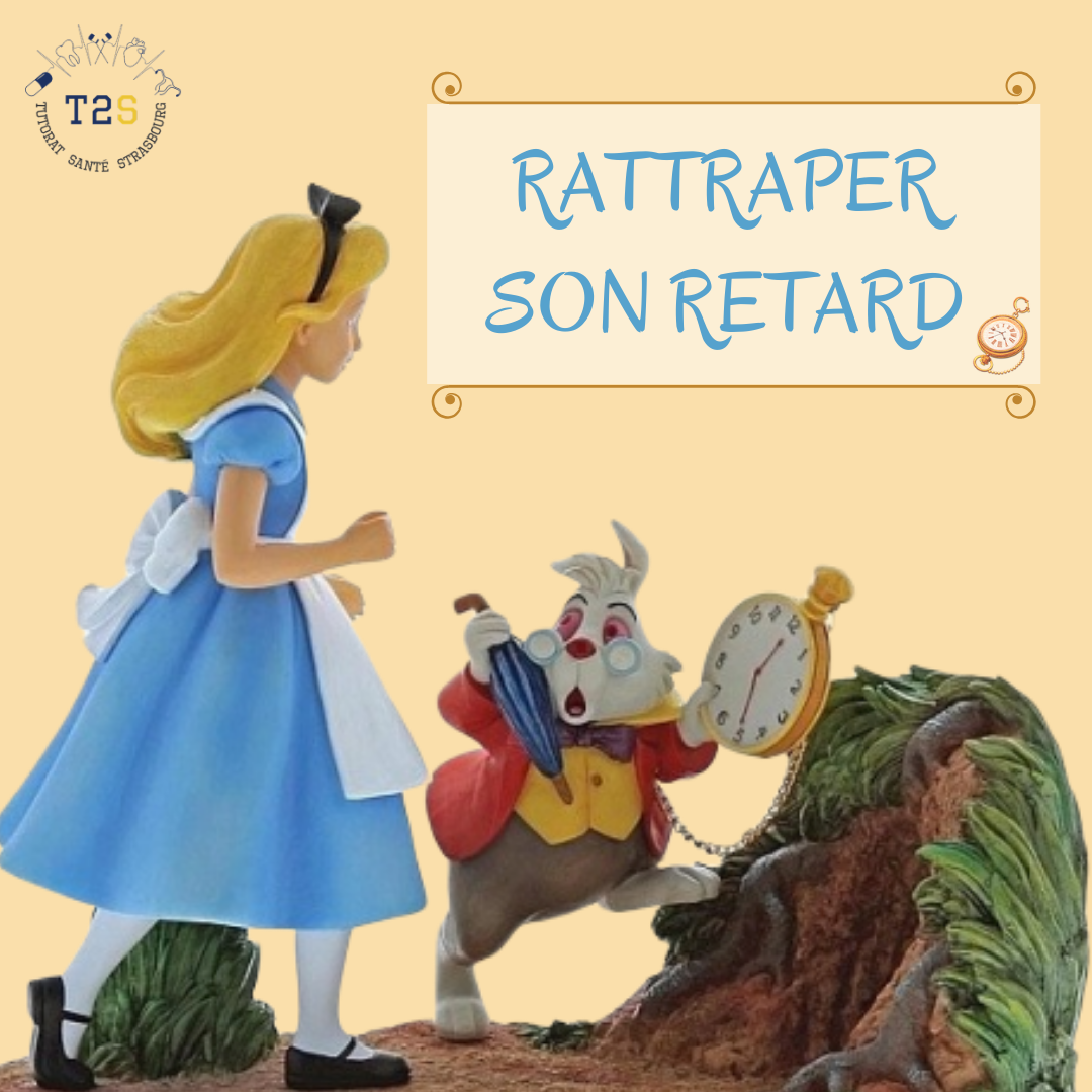 tu essaye de te rattraper