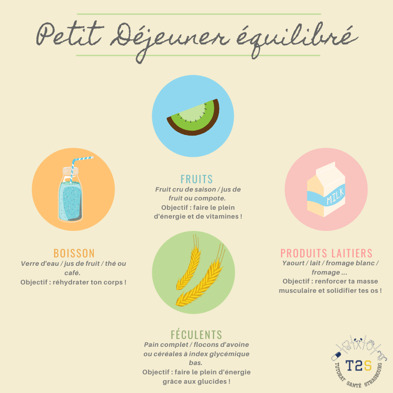 Manger quilibr Au Petit d jeuner Tutorat Sant Strasbourg