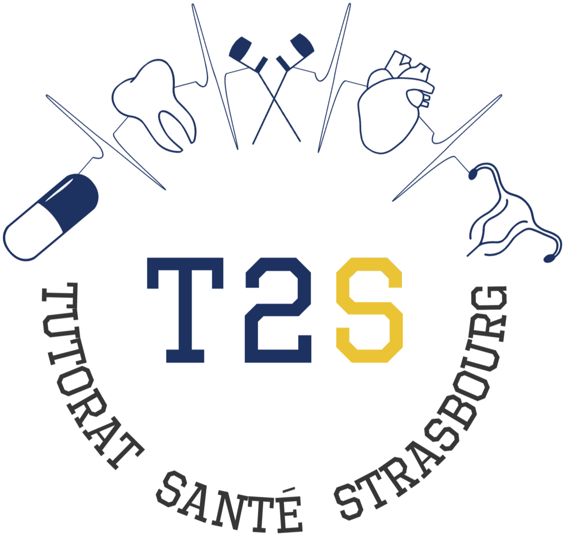 Tutorat Santé Strasbourg T2S - Réussir la LSpS et accéder aux études de ...